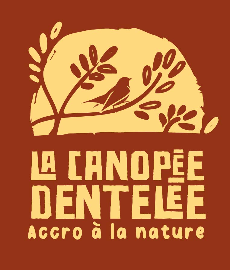 La Canopée Dentelée